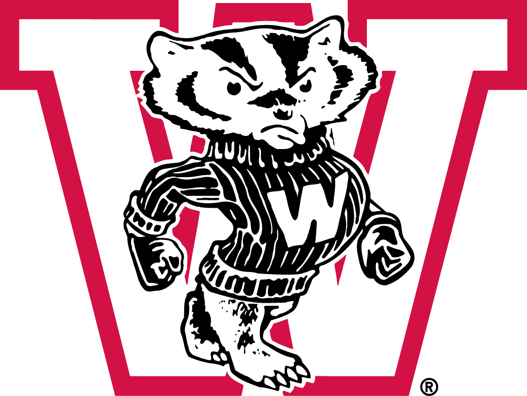 Wisconsin Badgers 1948-1956 Primary Logo DIY iron on transfer (heat transfer)